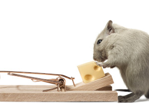 The Hidden Costs of "Free" Cybersecurity: Why Cutting Corners Can Cost You Everything